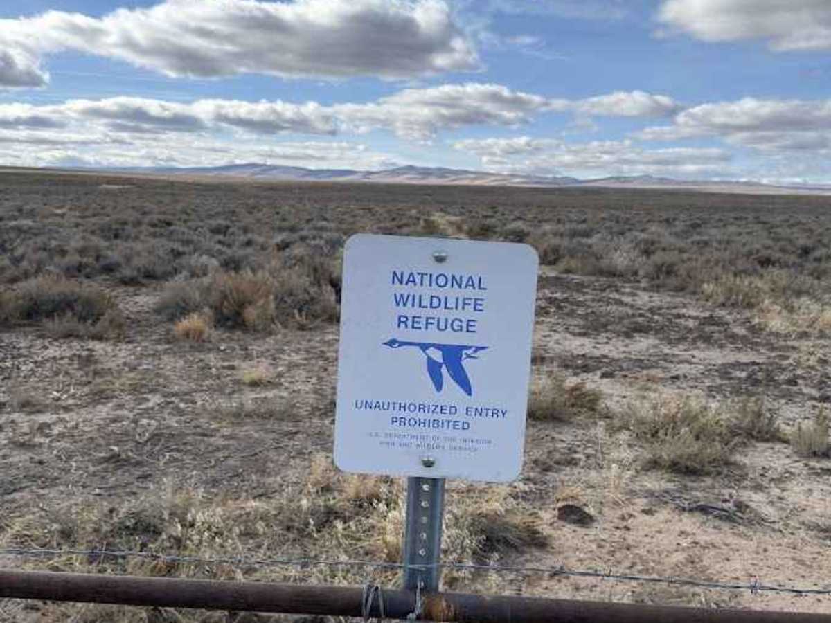 Flook Lake Bypass - Hart Mountain Antelope Refuge photo 2