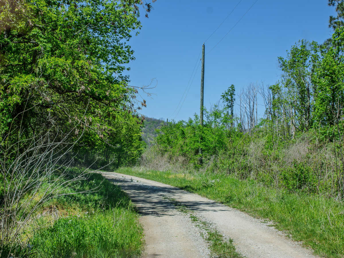 RBW 4 trail photo