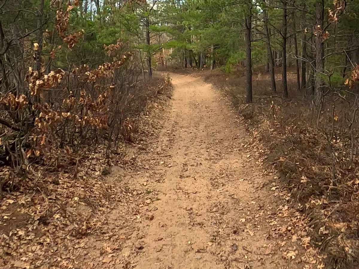 Woods - FS 4330 photo 6