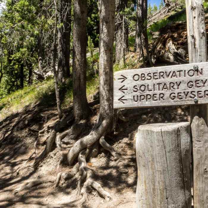 Near Observation Point