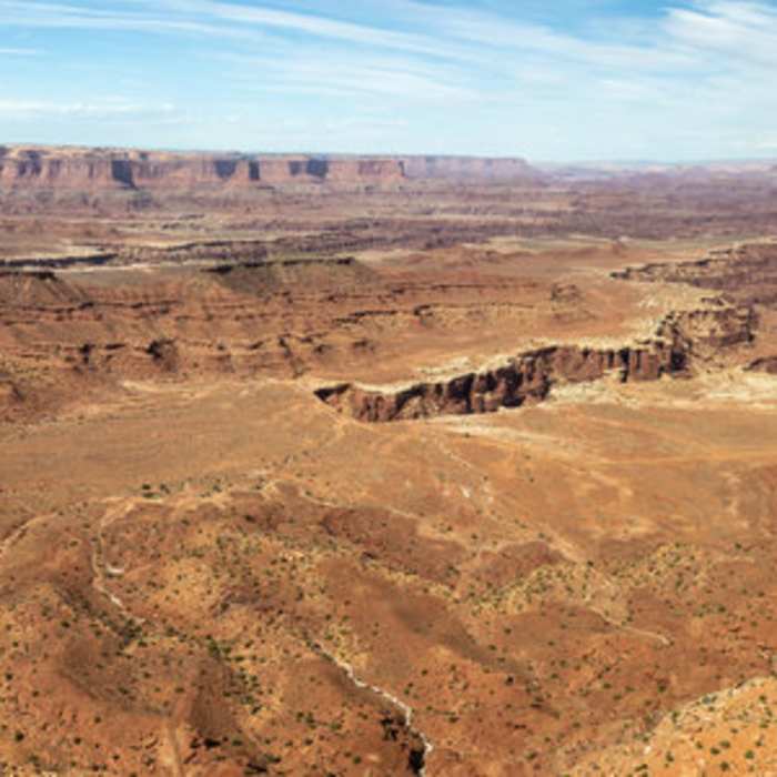 Near White Rim Overlook Trail