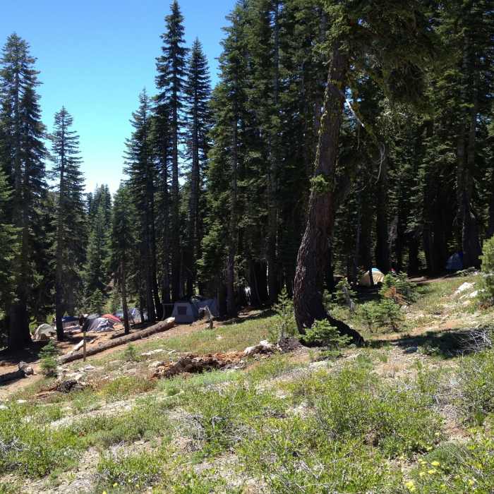 Near Grouse Ridge Trail