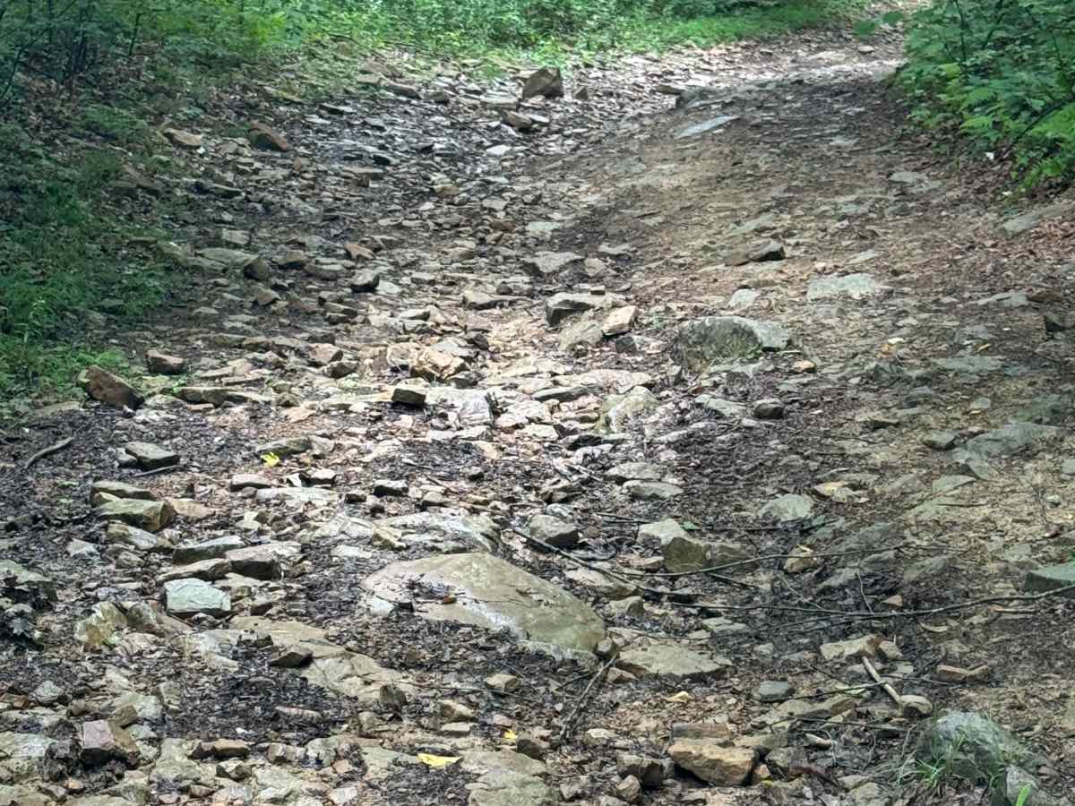 Trail 73 photo 4