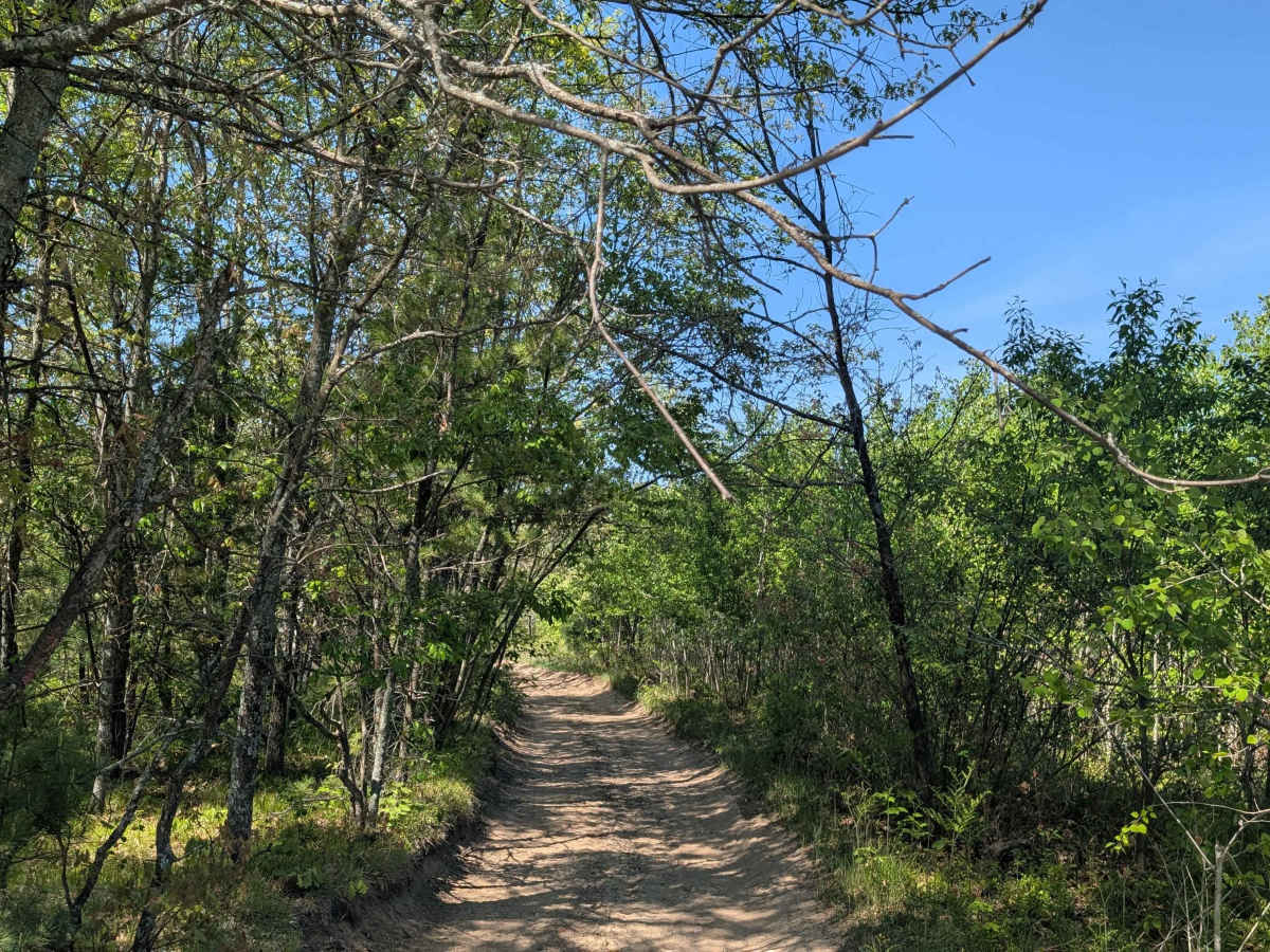 North Missaukee Route (Section 1) photo 5