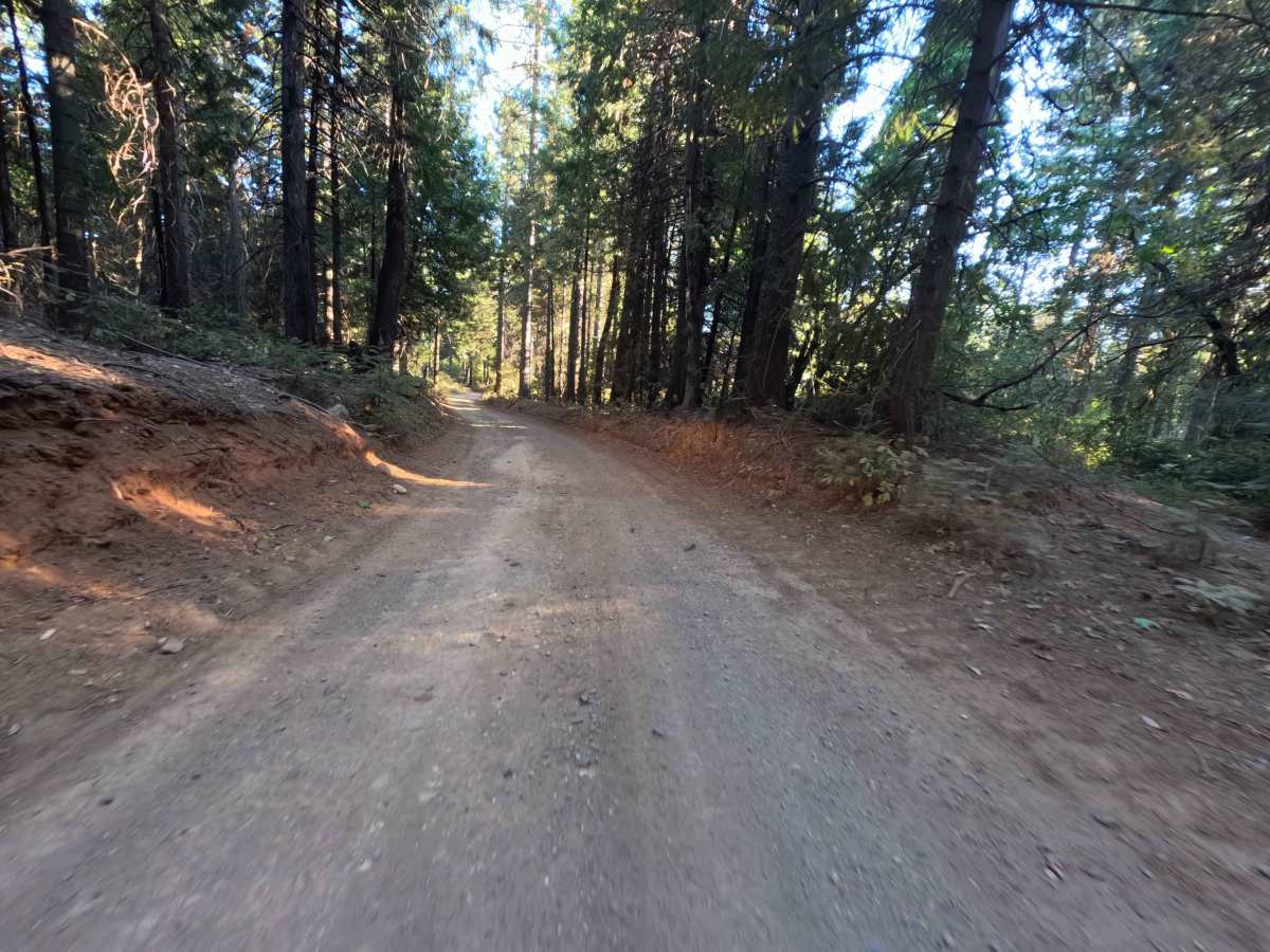 Weed Point - FS 20N14 photo 3