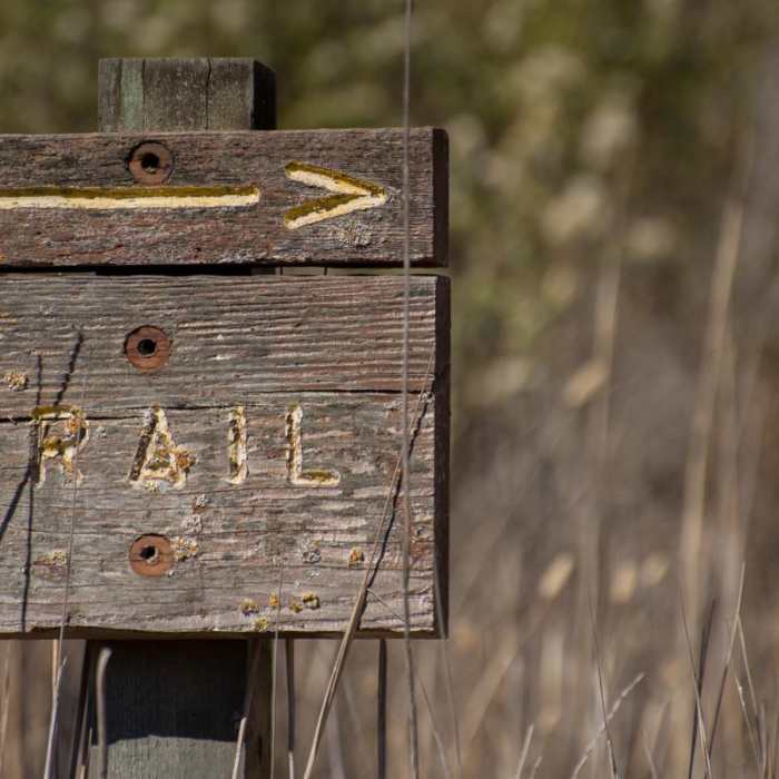 Near Long Valley + Five Fingers Loop Near Long Valley + Five Fingers Loop