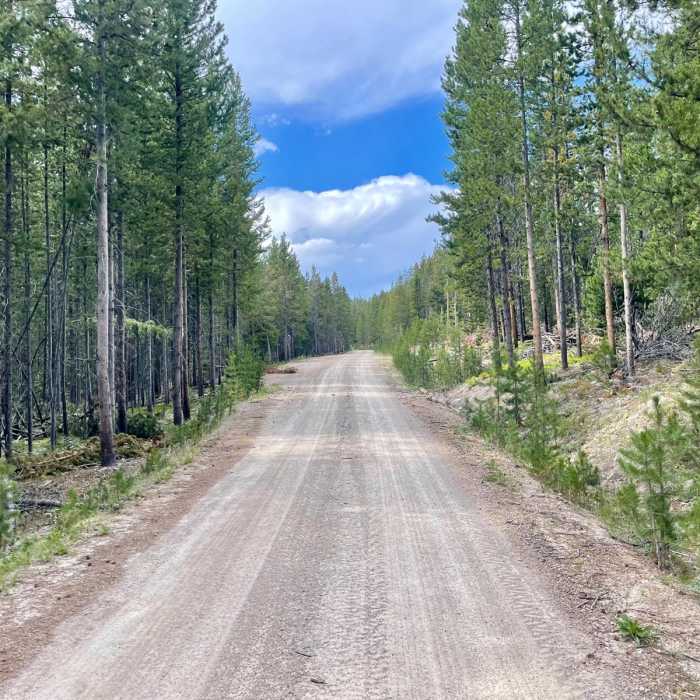 Near Continental Divide Trail: Montana-Idaho Section 9