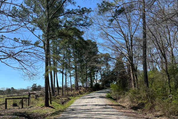 Suttles Road