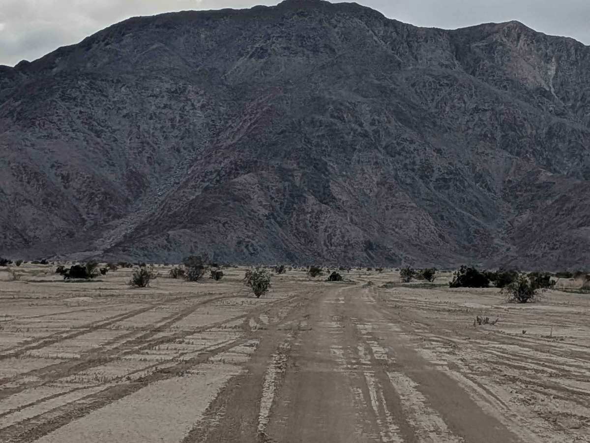 BLM 198 photo 3