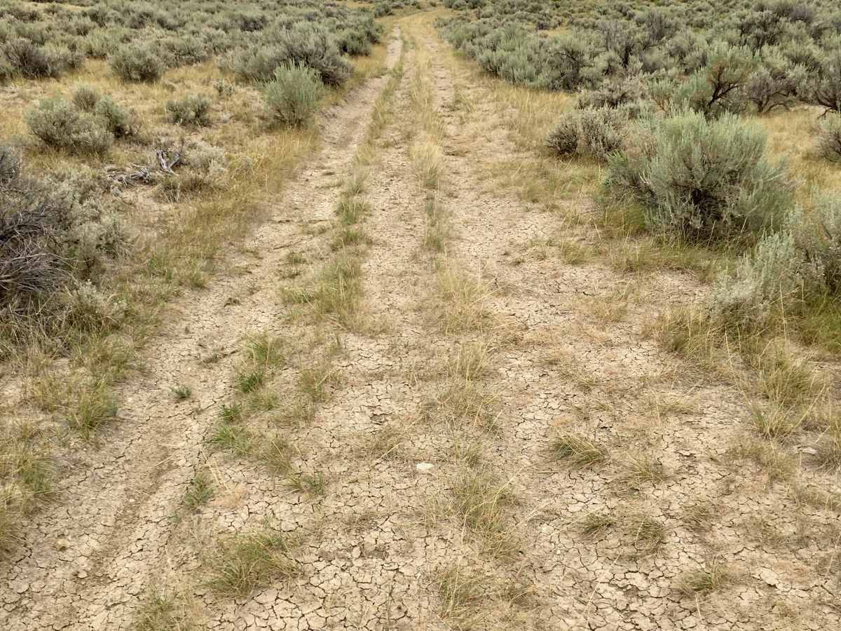 Little Water Creek Road photo 2