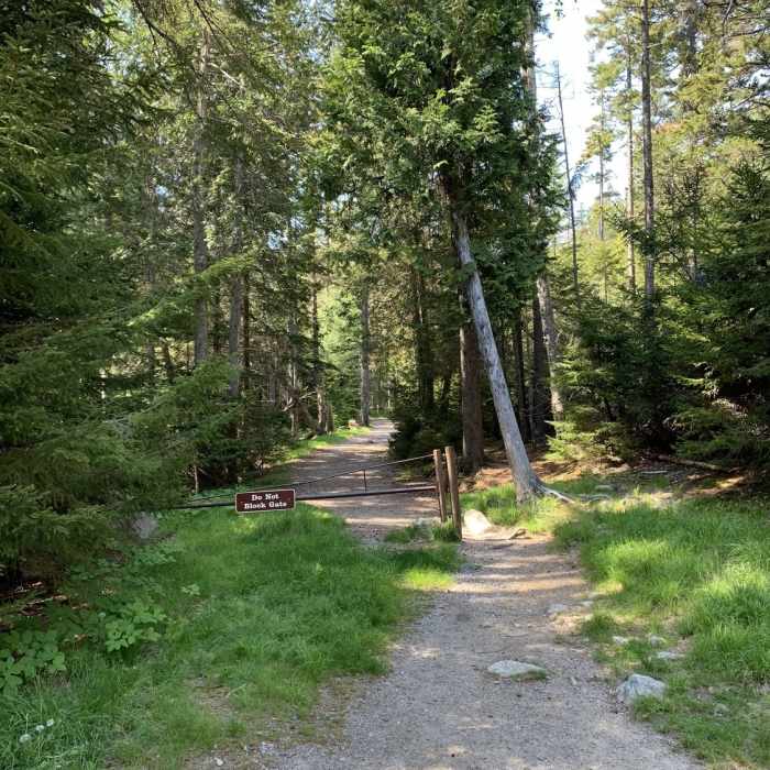 Near Flying Mountain Trail