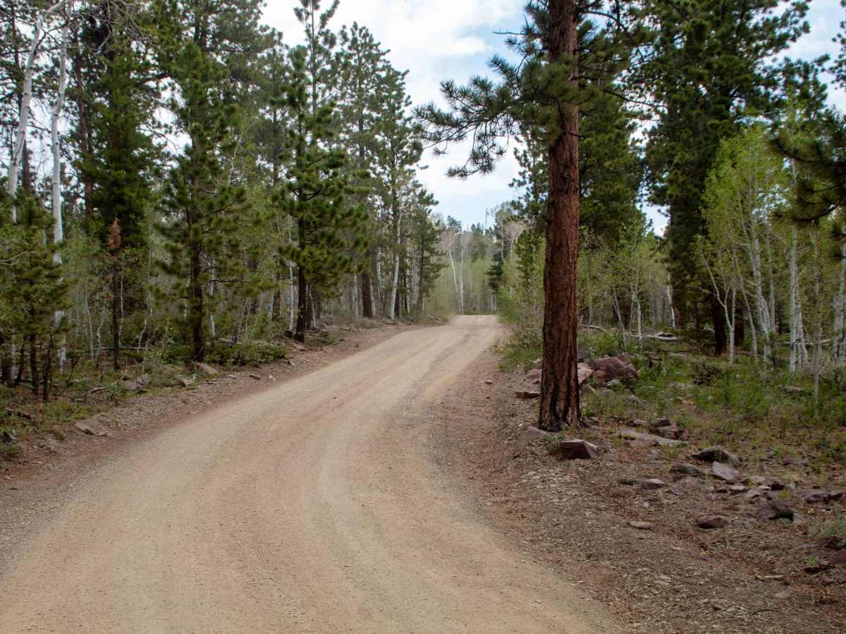Ute Mountain Lookout - FS 10005 trail photo
