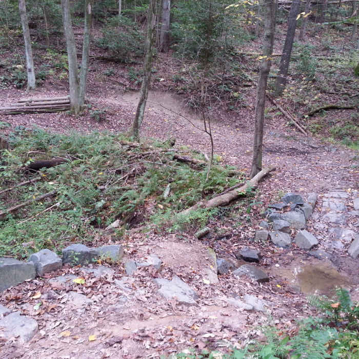 Near Sidetrack Trail