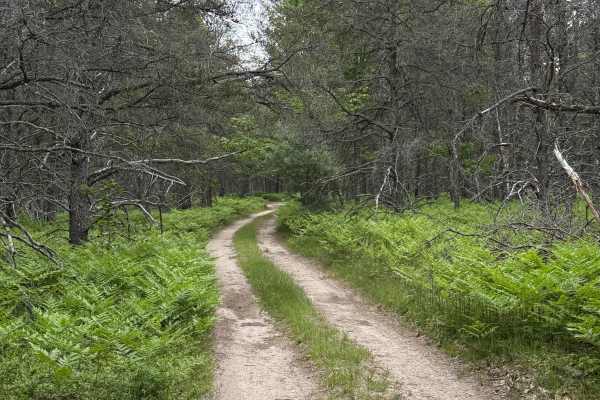 Twisters Trail