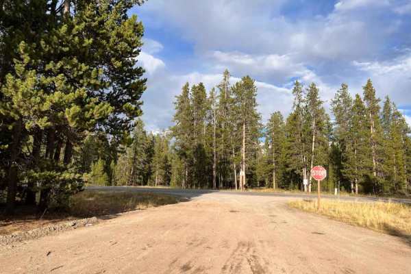 Cougar C Trail
