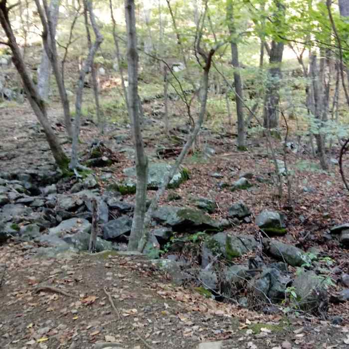 Near Mathews Arm Trail