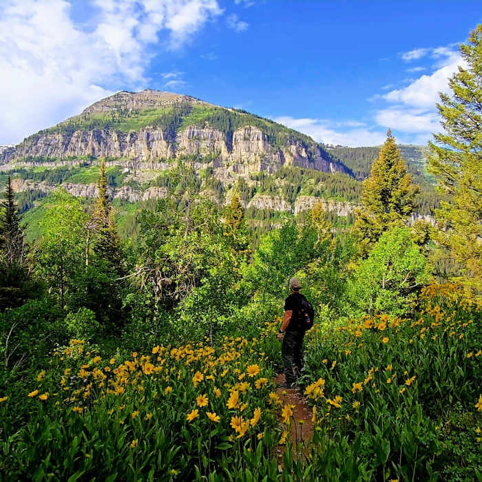 Near Face Trail #029