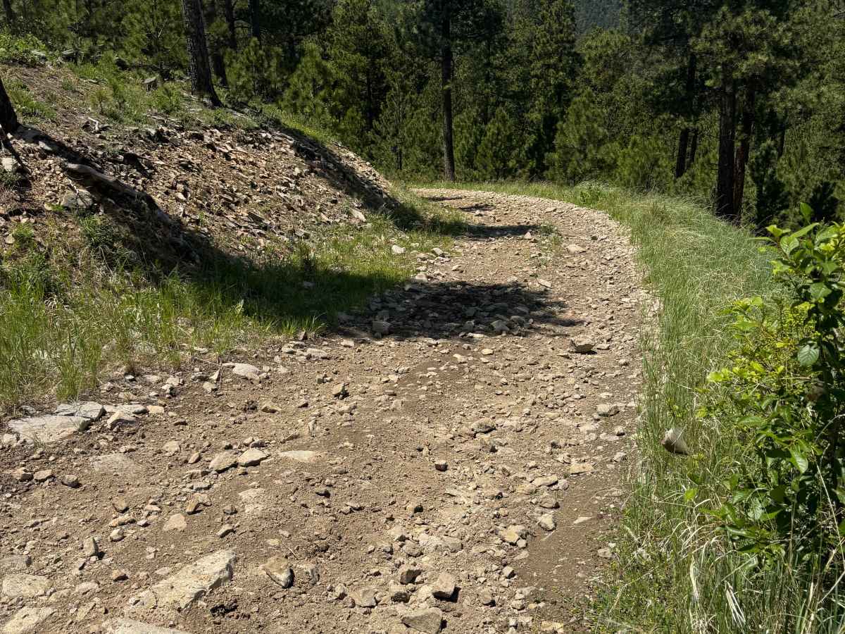 Forbes Gulch Br 1b - FSR 169.1B photo 2