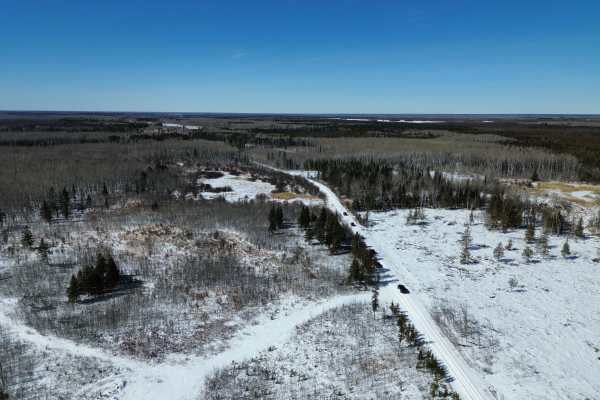 Sandilands Forestry Road 31