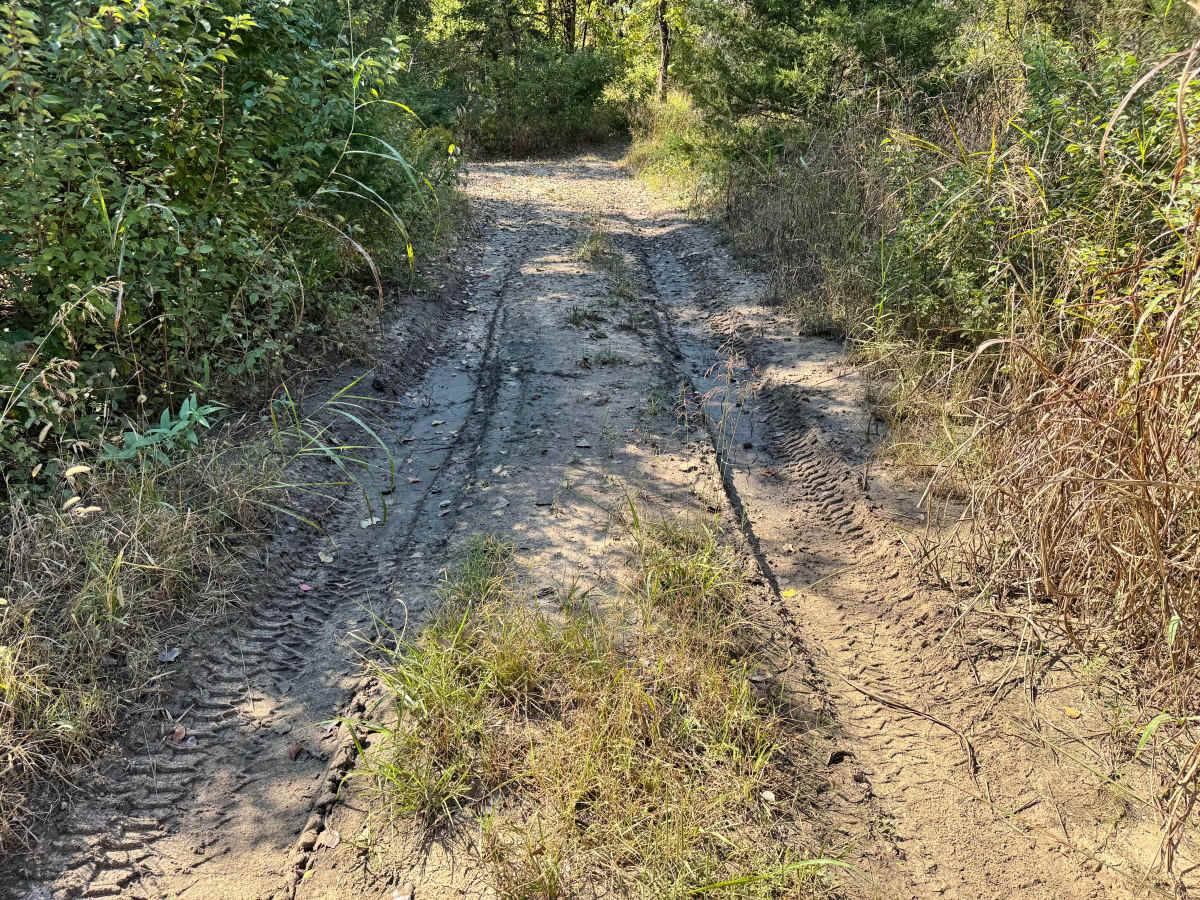 Tinker Trail photo 6