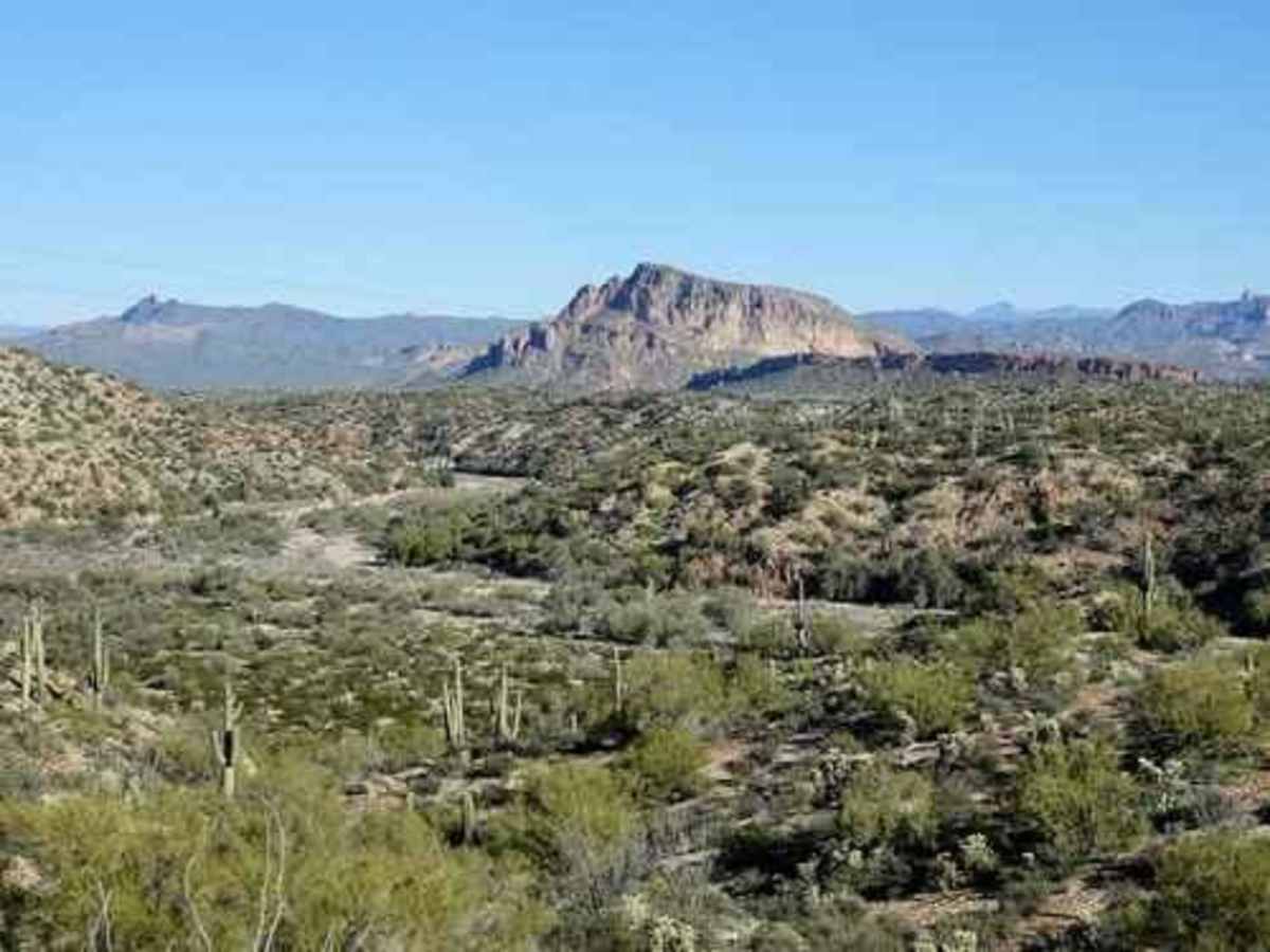 South of Gila River photo 5