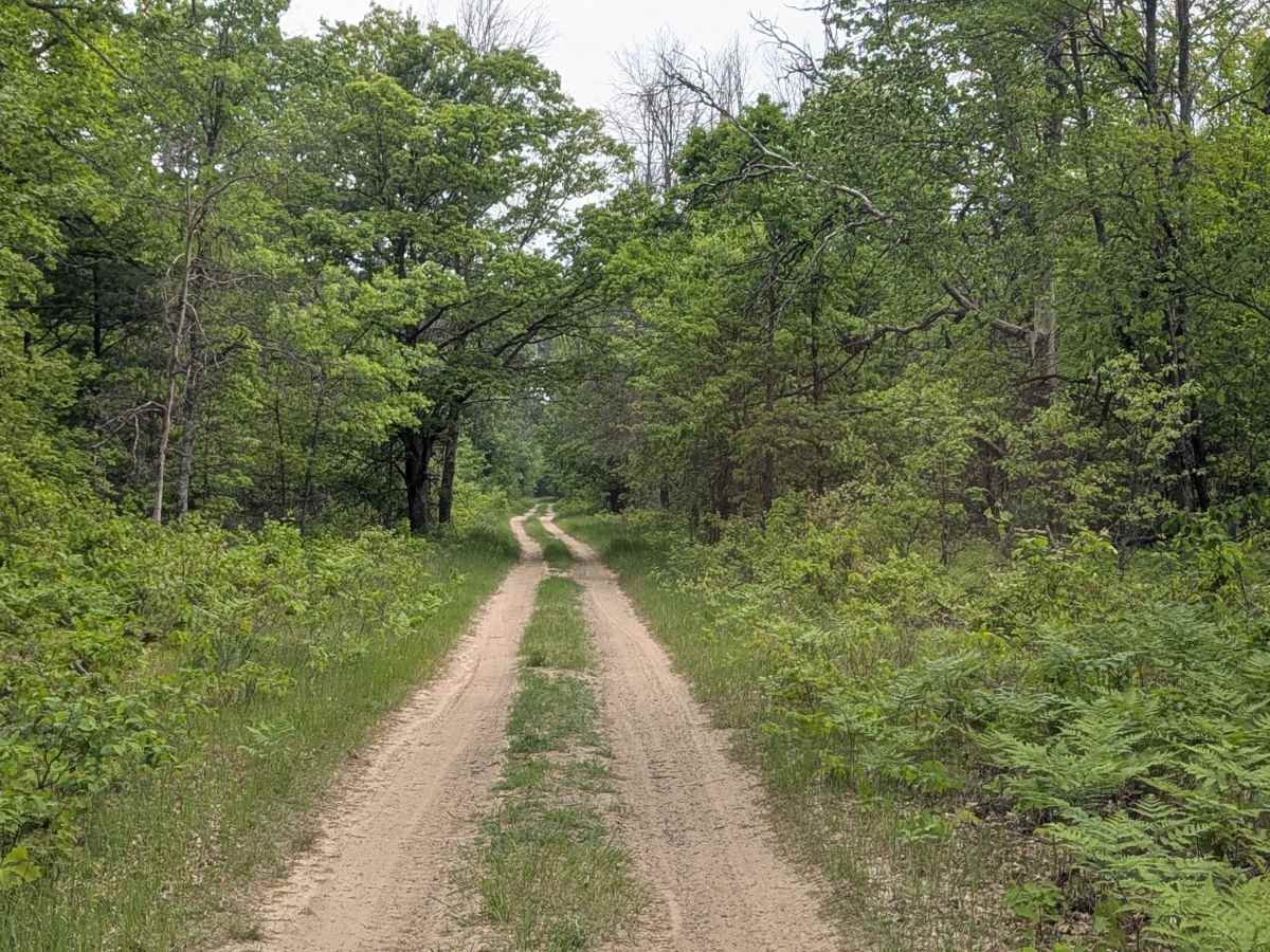 Geels Loop photo 4