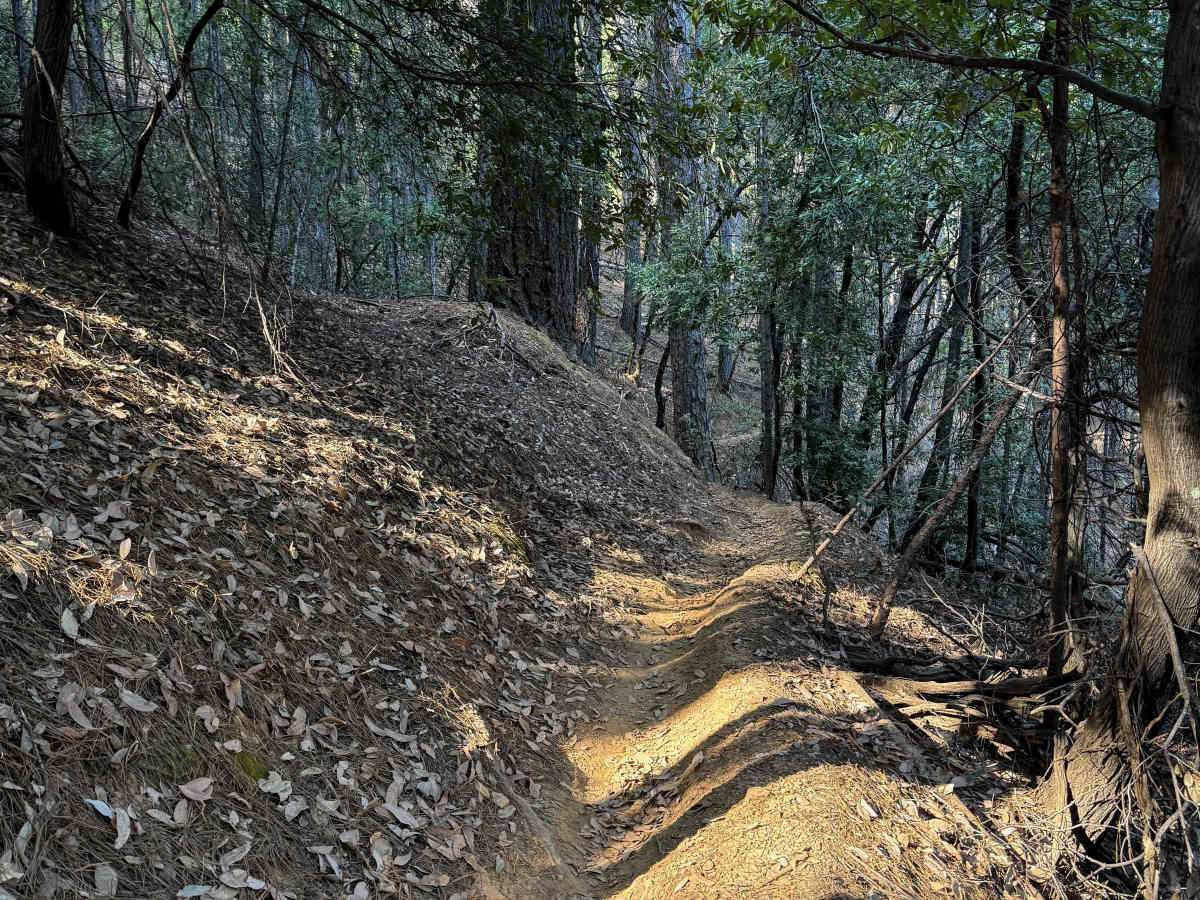 Trail 5-1 (11E32) photo 5