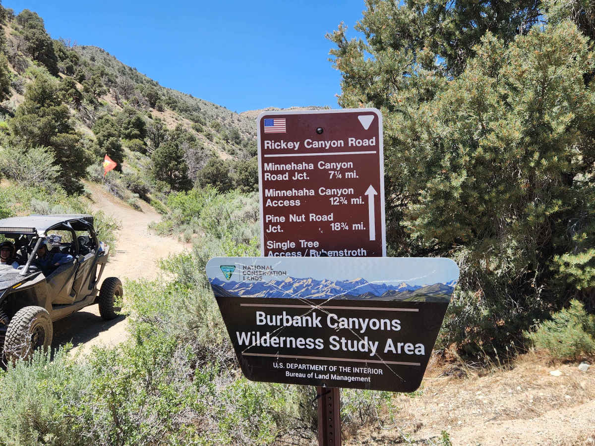 Rickey Canyon - BLM P-11 trail photo