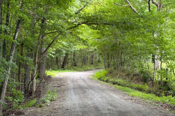 George Hill Road
