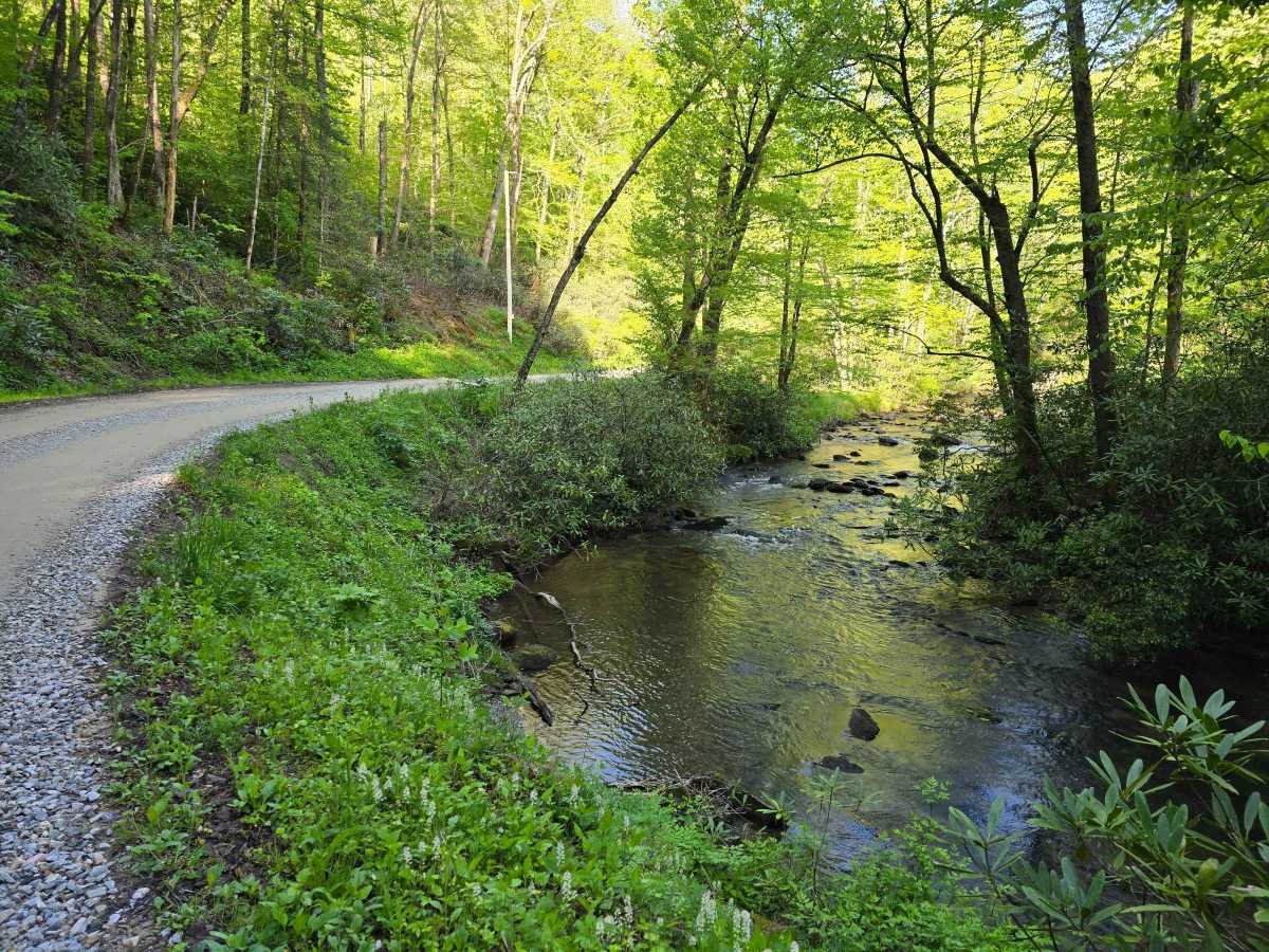 Little Snowbird Road trail photo