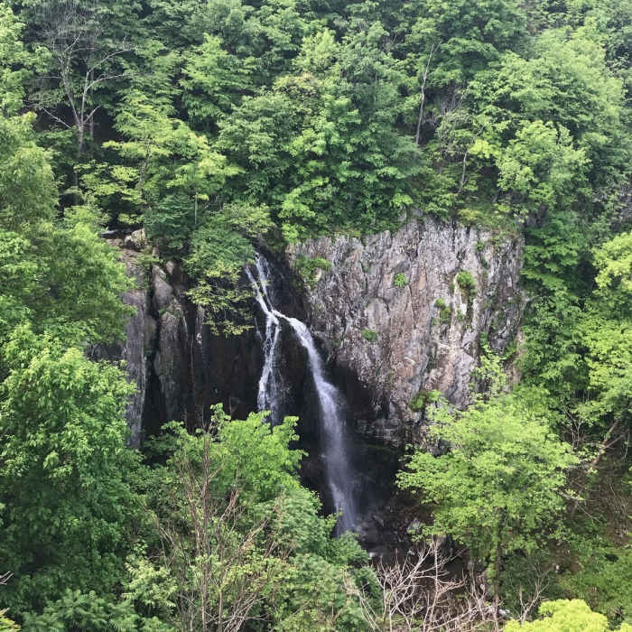 Waterfall Near Tuscarora to Toms Brook: Shenandoah and GW