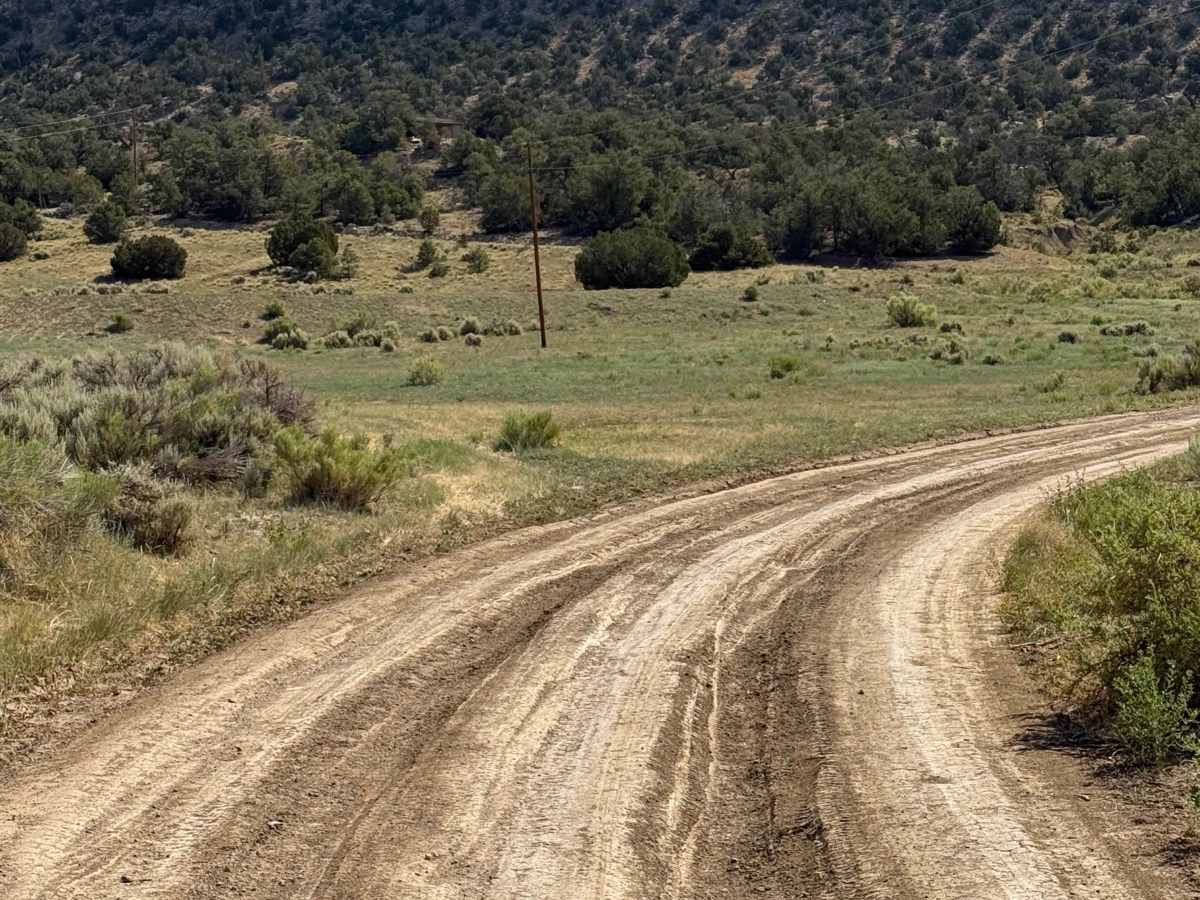 West Trail Creek - FR 20 photo 3