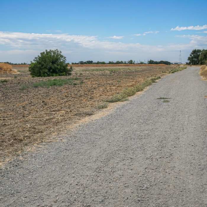 Near Barge Canal Trail