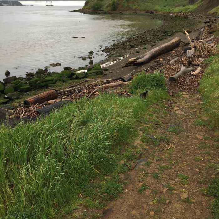 Dillon Point Trail offers great access to the beach and scenic views of the bay. Near Benicia Bay Trail