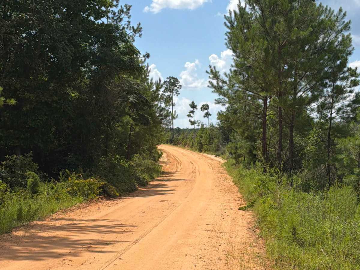 Paulk Road photo 5