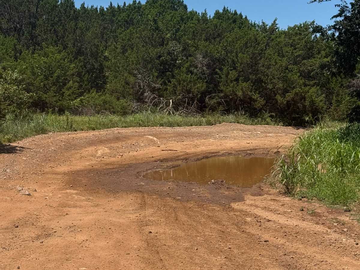 Main Road photo 6