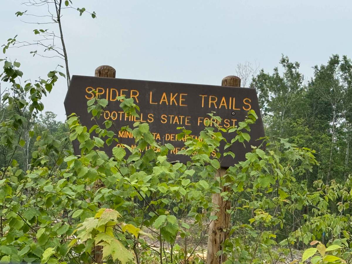 Spider Lake Trails trail photo