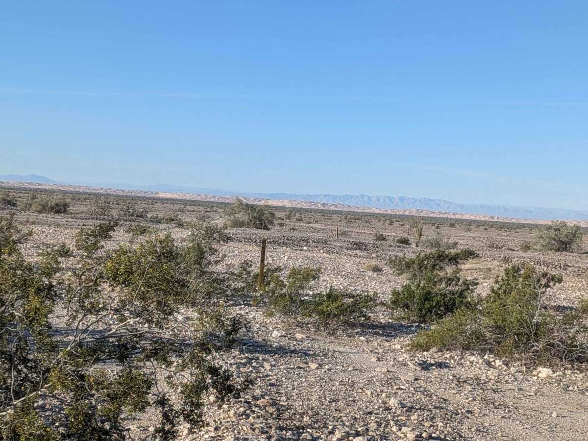 BLM 702 trail photo