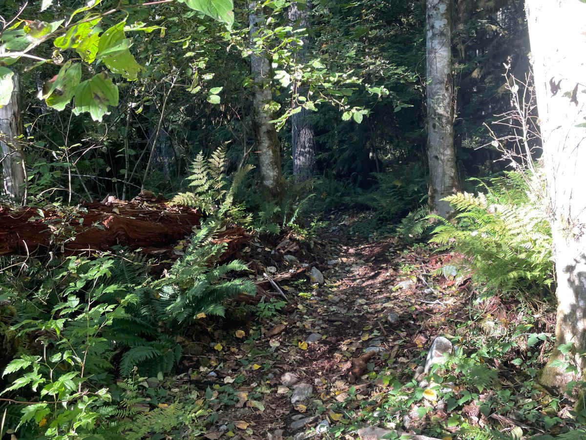 Entrance Trail photo 5