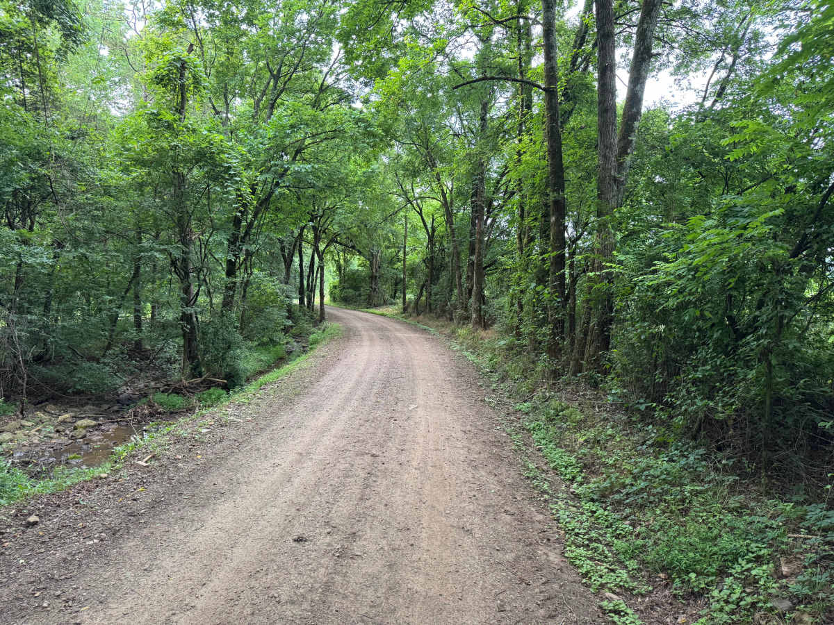 County Road 3161 photo 4