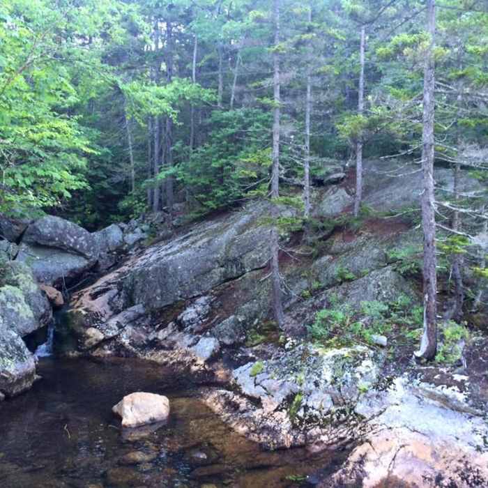 The Moriah Brook Near Moriah Brook Trail