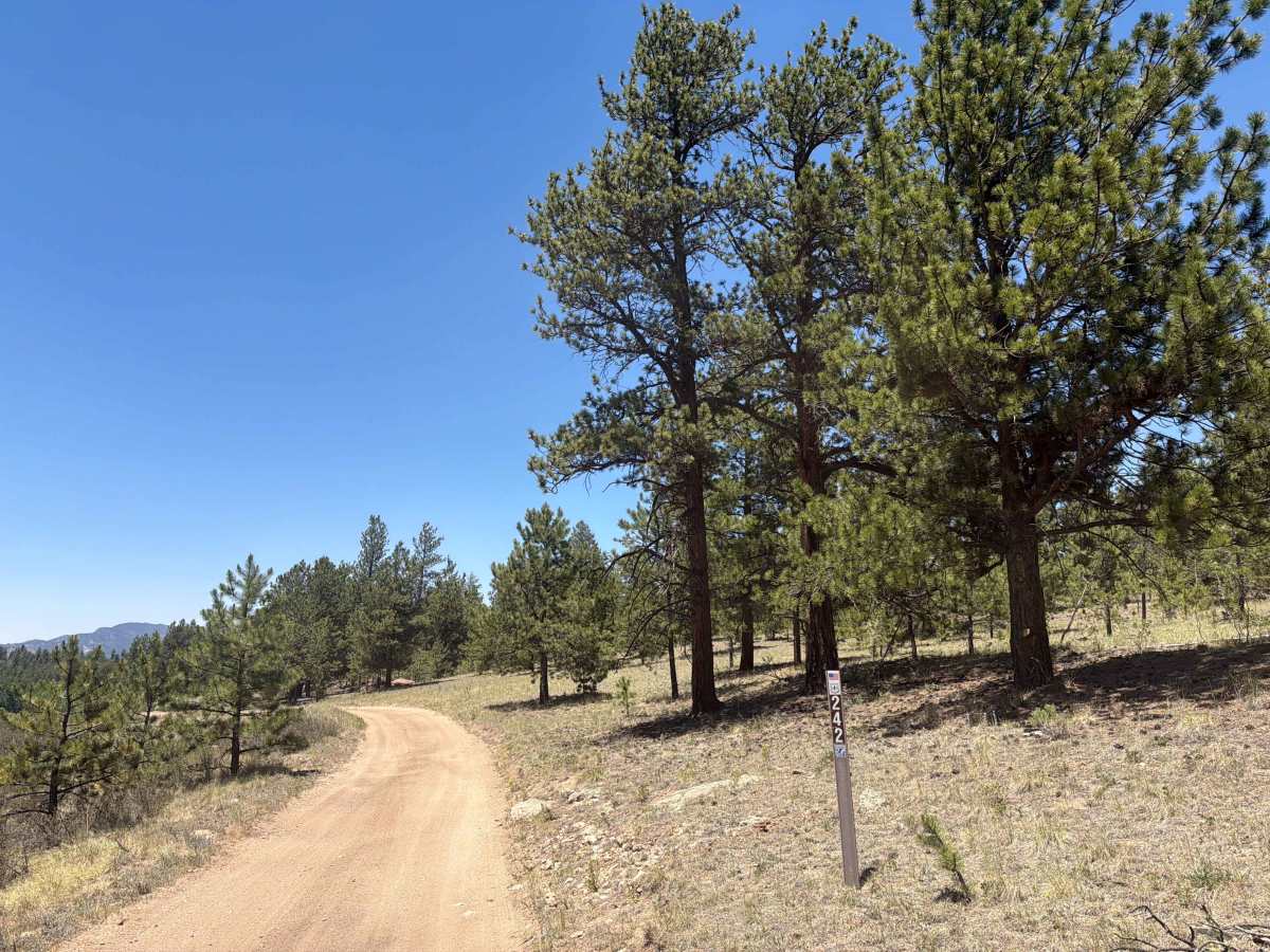 Burma Shave Road - FS 242 photo 2