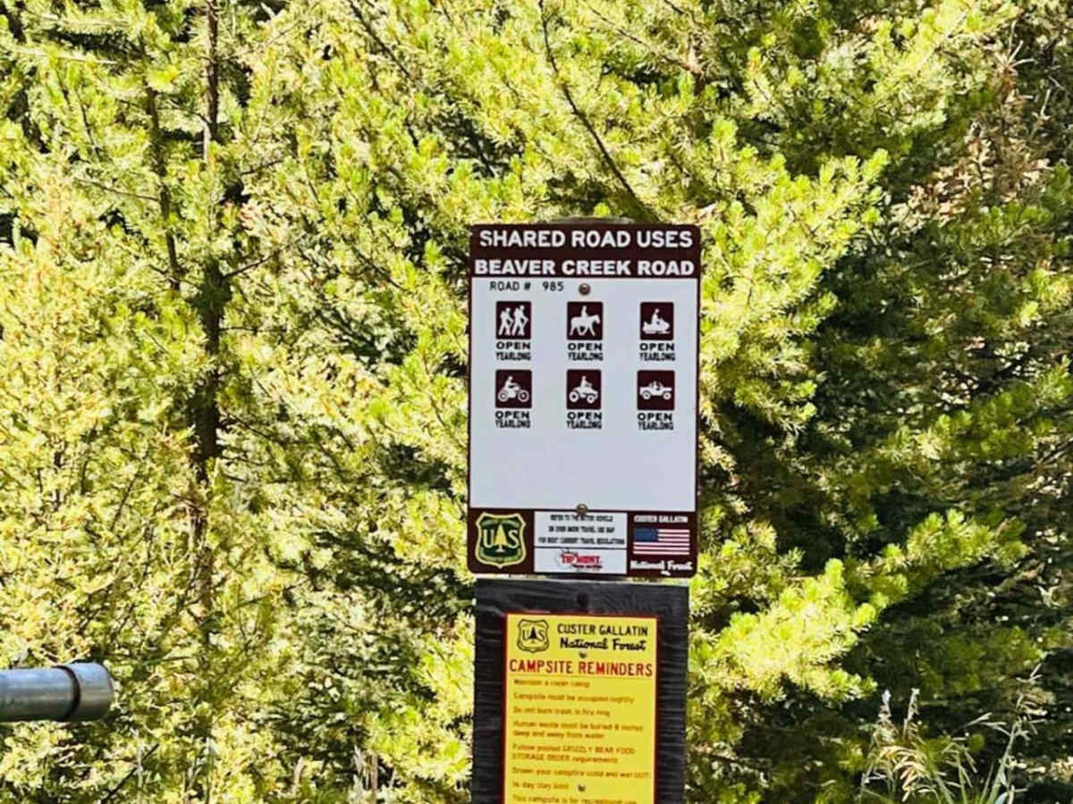 Beaver Creek Gallatin Forest photo 3