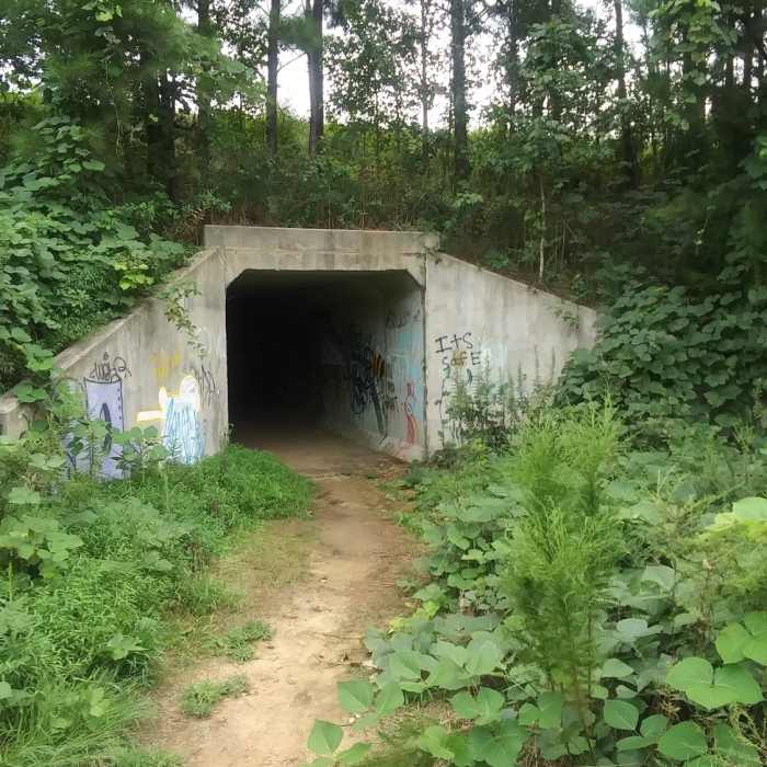 Near Wake Forest Soft Trails