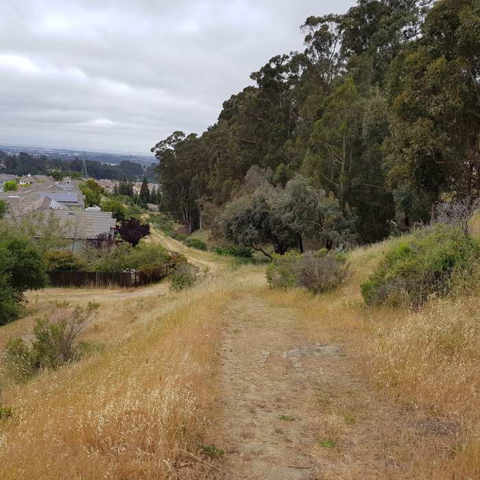 Near Don Castro - Five Canyon Loop