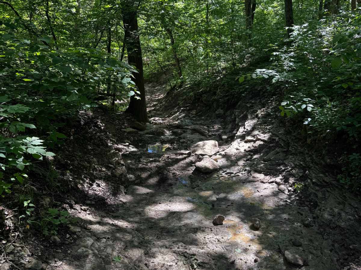 Inner Track 30 trail photo