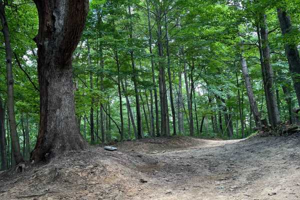 Potter's Hollow
