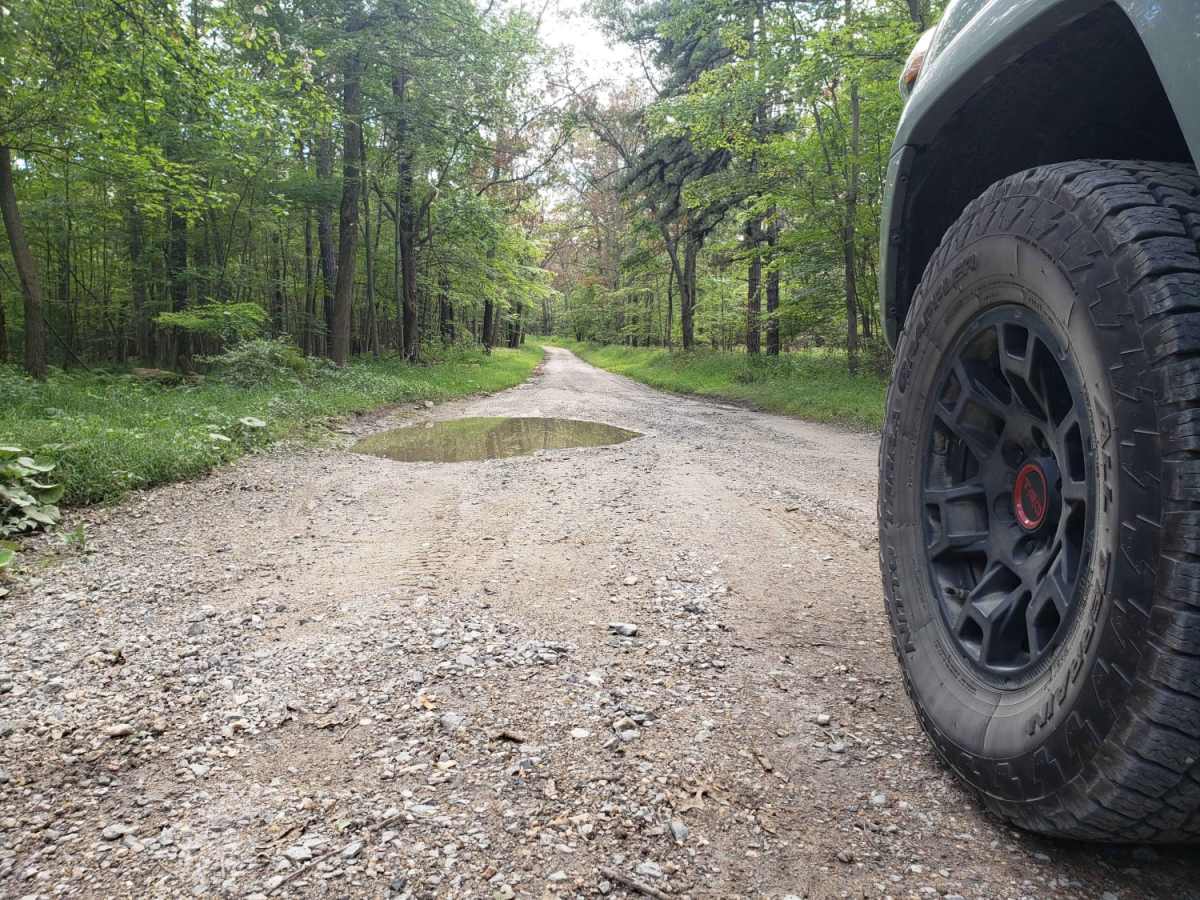 Michaux Ridge Road photo 6