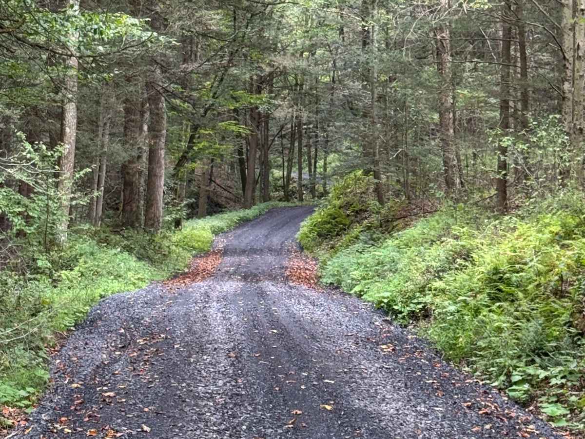 Upper Grays Run Road photo 3
