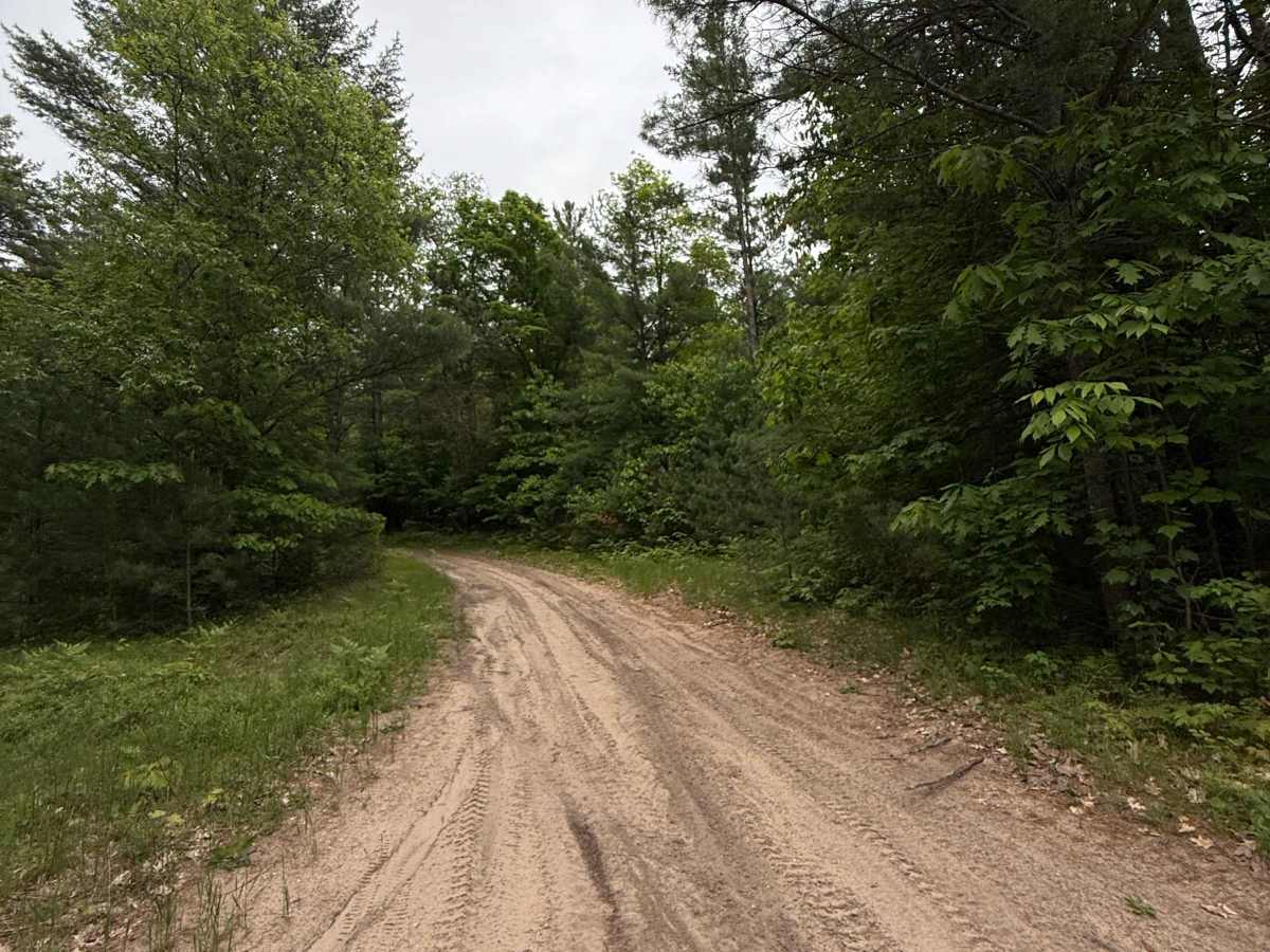 Kalkaska North Mountain Bike Trail photo 3
